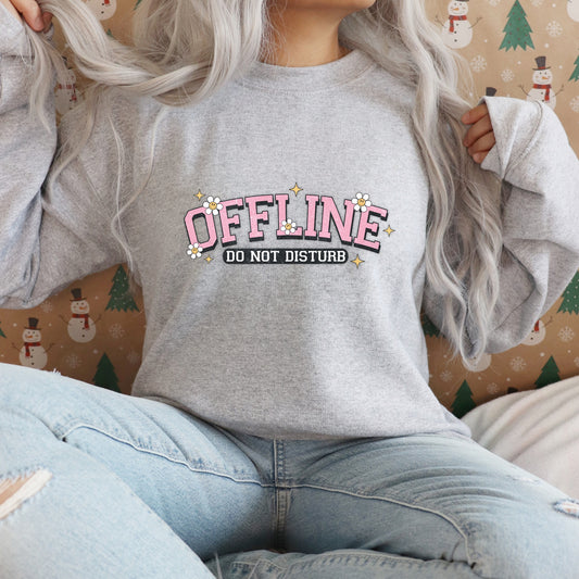 Offline Do Not Disturb Unisex Sweatshirt