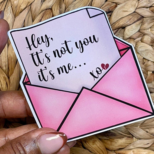 Cut3Nah Notes Sticker | Magnet HEY IT'S NOT YOU IT'S ME Magnet